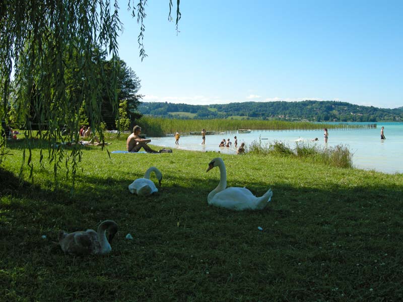 des Chavannes Rhône-Alpes - Novalaise visuel 2/6 des Chavannes Rhône-Alpes - Novalaise visuel 2/6