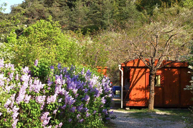 Camping les Princes d'Orange Provence-Alpes-Côte d'Azur - Orpierre visuel 15/16