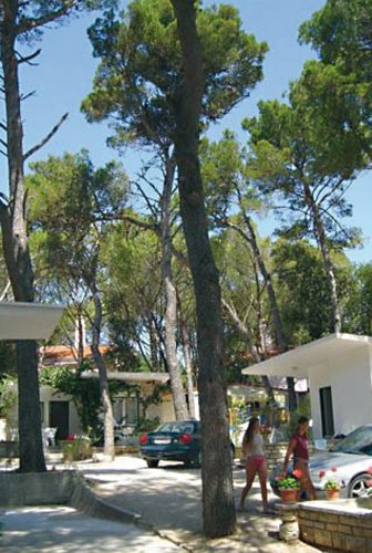 Diana & Josip Dalmatie - Biograd visuel 2/4