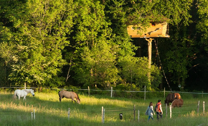 Dihan Bretagne - Ploemel visuel 6/10