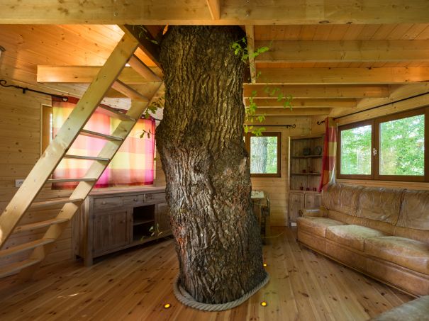 Domaine Arvor Bretagne - Lanvallay visuel 4/11 Domaine Arvor Bretagne - Lanvallay visuel 4/11