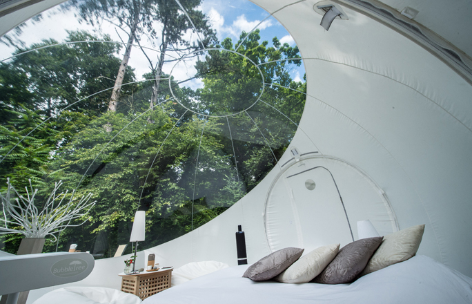 Domaine Bulles des Bois Provence-Alpes-Côte d'Azur - Cuges-les-Pins visuel 4/7