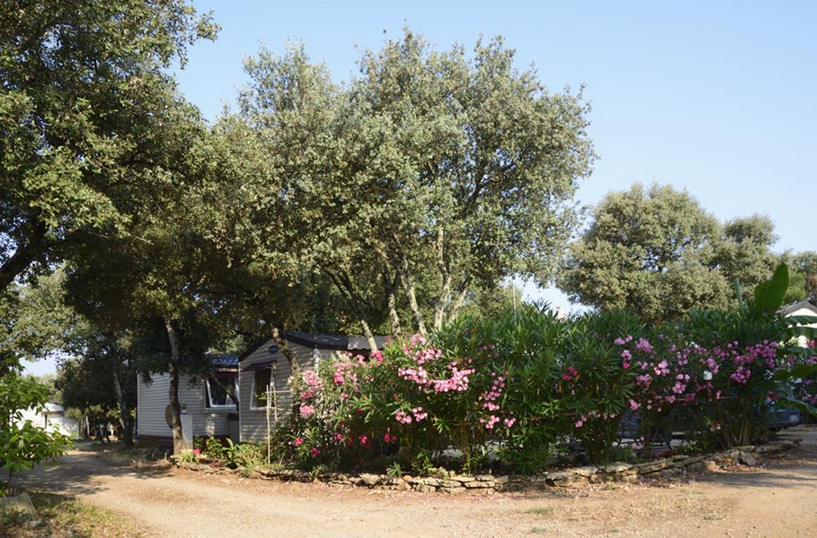 Domaine de Gajan Languedoc-Roussillon - Boisseron visuel 2/10