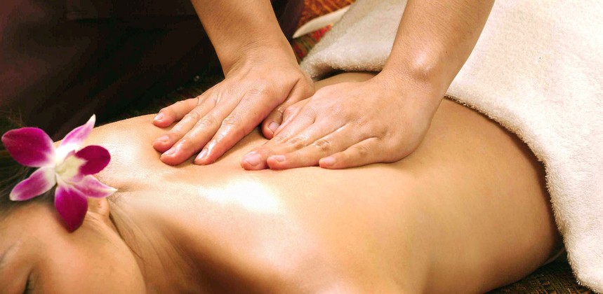 Domaine de la forêt de Suzac Poitou-Charentes - Saint-Georges-de-Didonne visuel 3/6