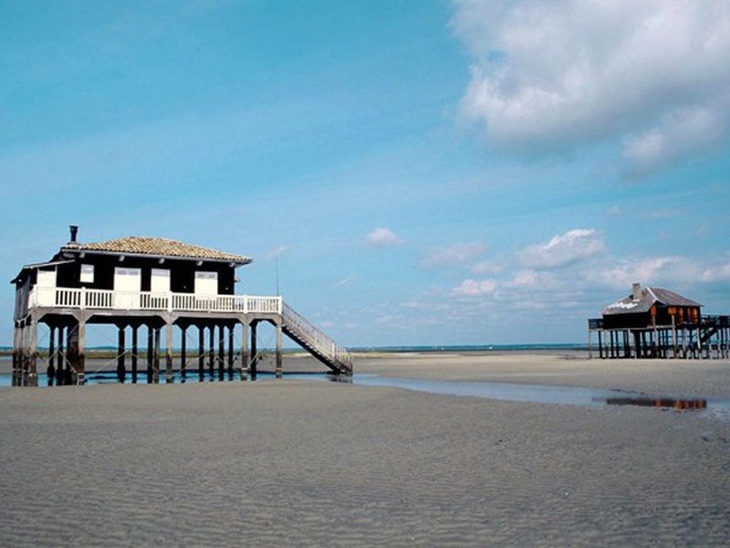 Domaine de La Forge Aquitaine - La Teste-de-Buch visuel 17/20