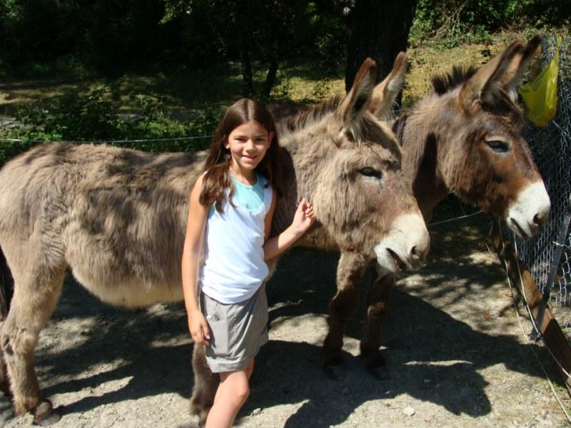Domaine de La Gautière Rhône-Alpes - La Penne-sur-l'Ouvèze visuel 5/6
