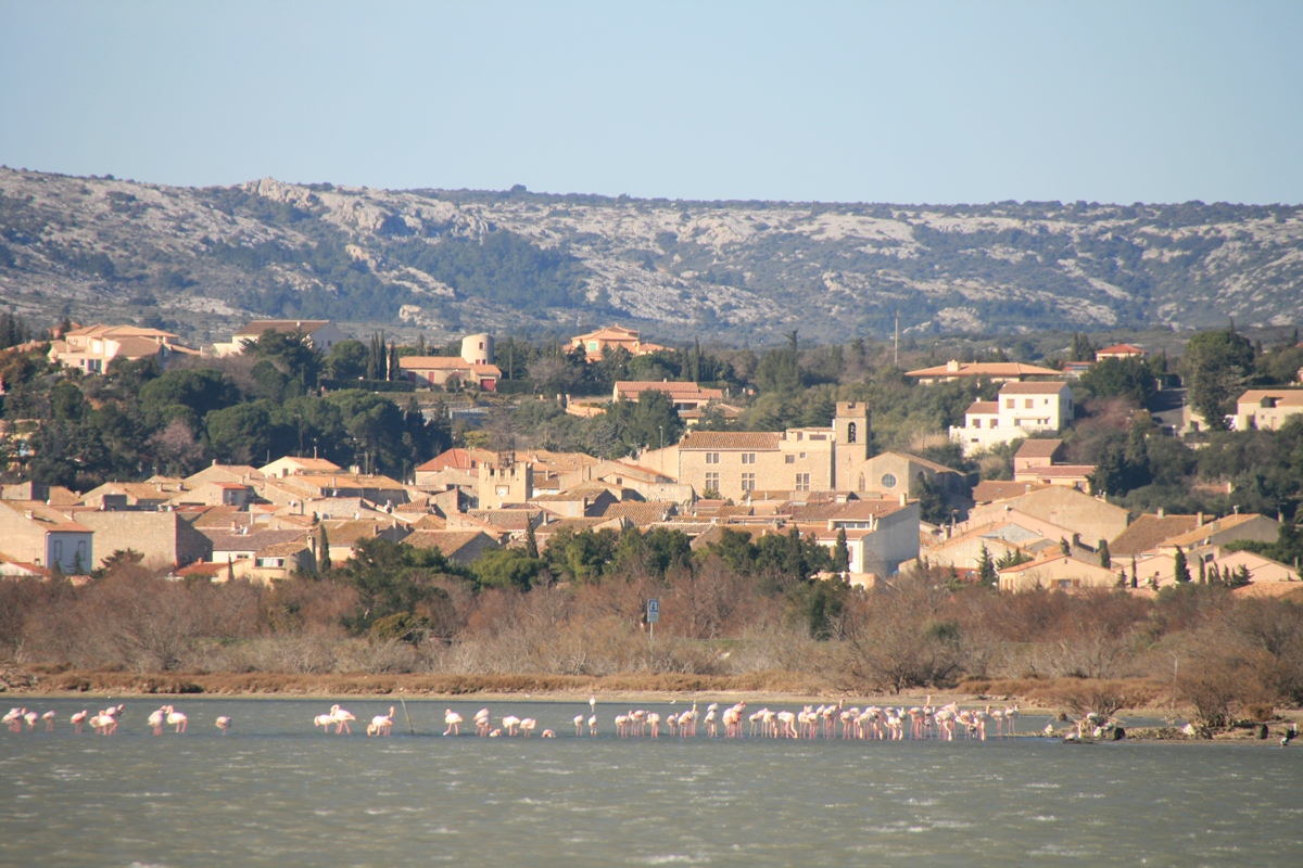 Domaine de la Palme Languedoc-Roussillon - La Palme visuel 7/10