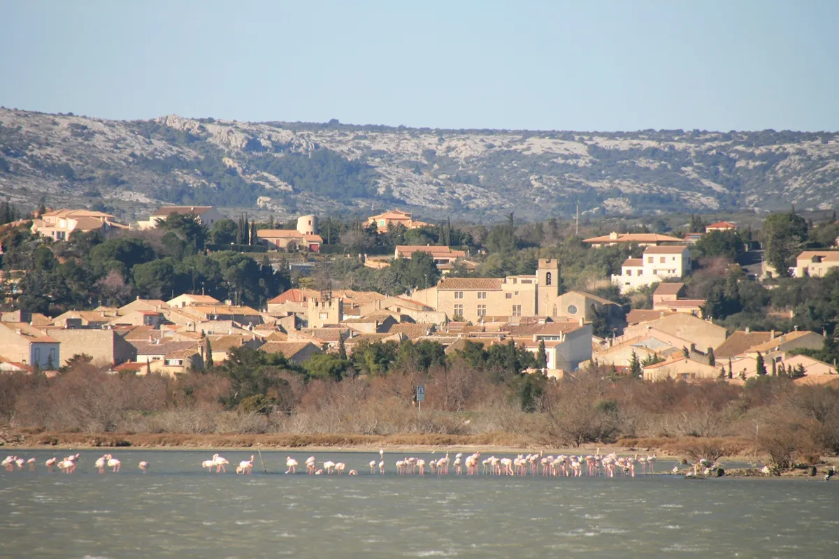 Domaine de la Palme Languedoc-Roussillon - La Palme visuel 9/10