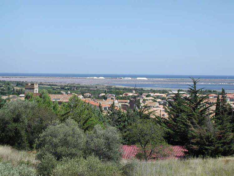 Domaine de la Palme Languedoc-Roussillon - La Palme visuel 9/10