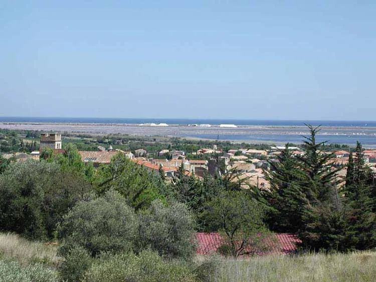 Domaine de la Palme Languedoc-Roussillon - La Palme visuel 8/10