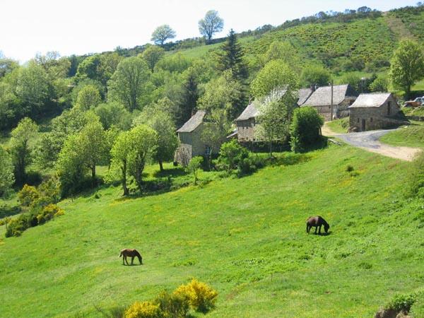 Domaine de la Taillade Auvergne - Neuvéglise visuel 1/1