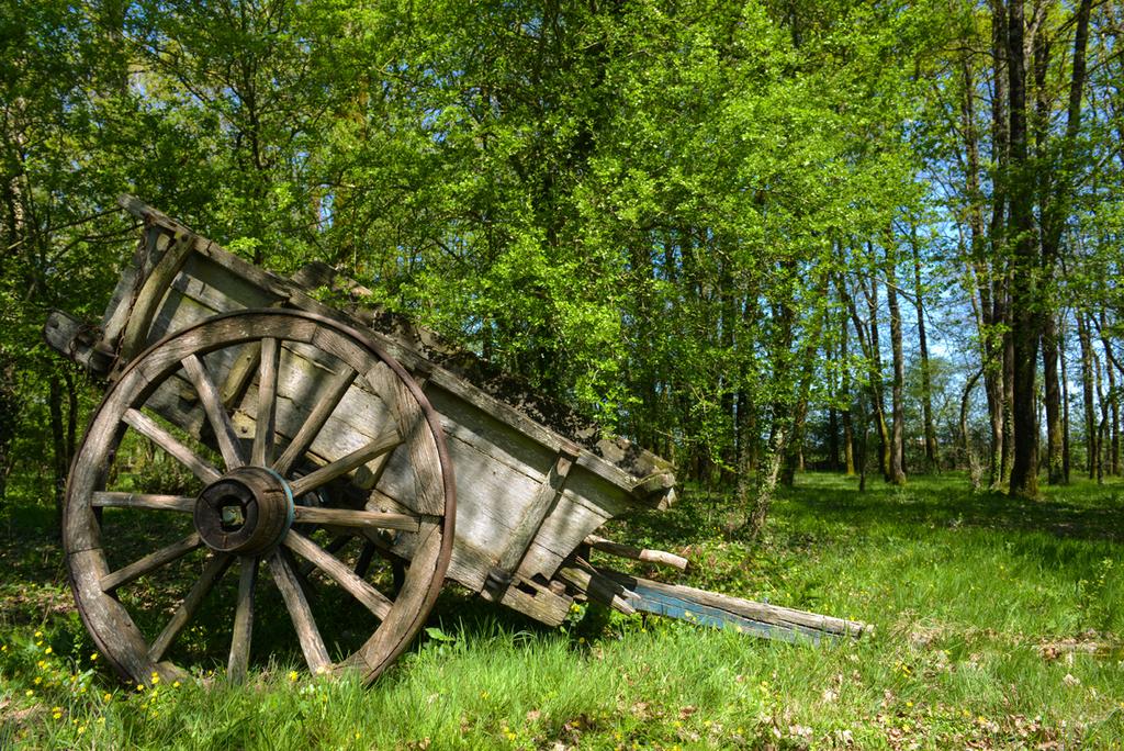 Domaine de l’Oiselière Pays de Loire - Chauché visuel 16/20