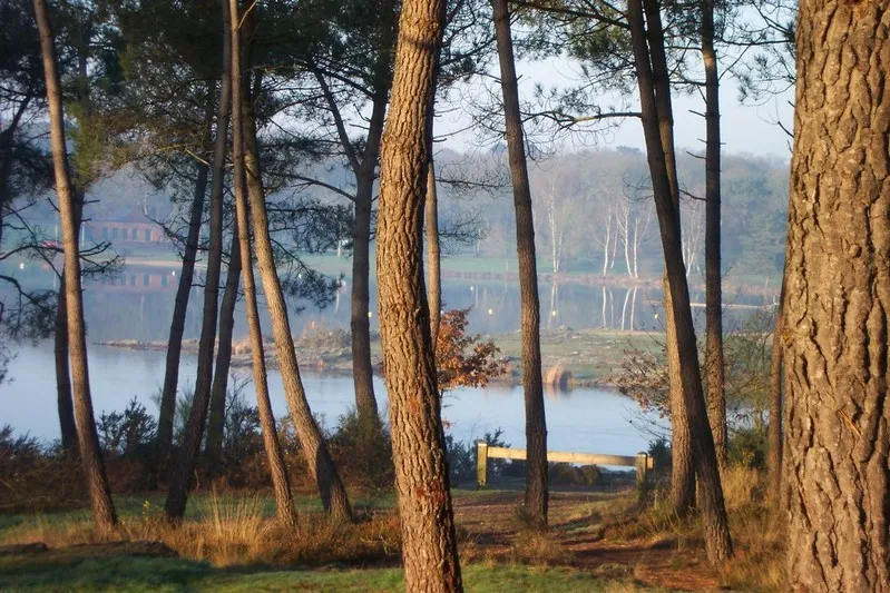 Domaine de Trémelin Bretagne - Iffendic visuel 4/10