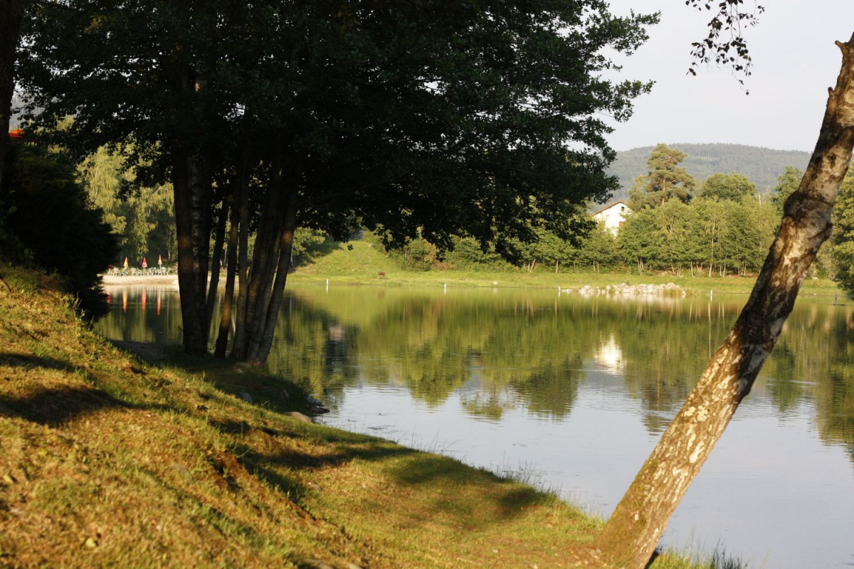 Domaine des Messires Lorraine - Herpelmont visuel 5/8