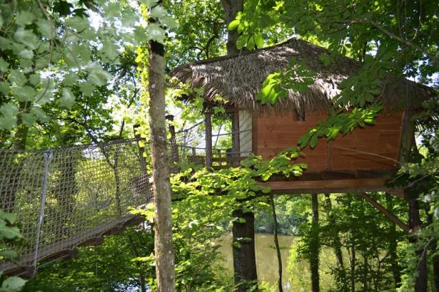 Domaine des Vaulx Pays de Loire - La Baconnière visuel 8/16 Domaine des Vaulx Pays de Loire - La Baconnière visuel 8/16