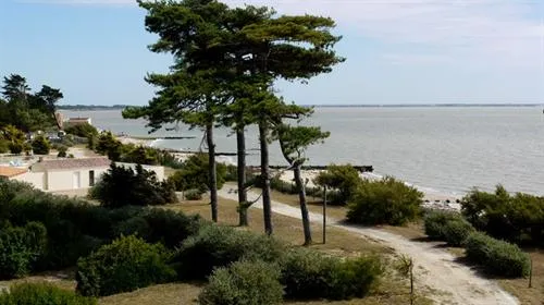 Camping La Plage Pays de Loire - Les Moutiers en Retz visuel 3/10