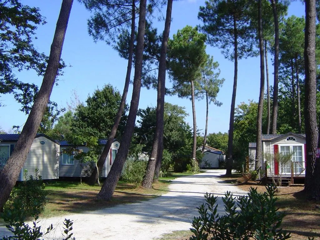Domaine La Résinière Aquitaine - Hourtin visuel 4/9
