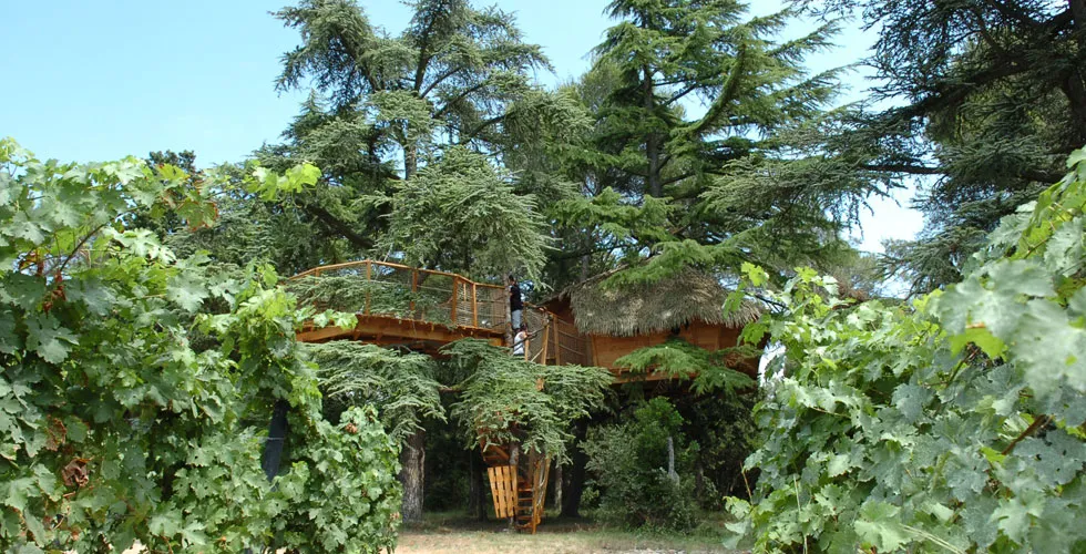 Domaine Saint Jean de l'Arbousier Languedoc-Roussillon - Castries visuel 2/11