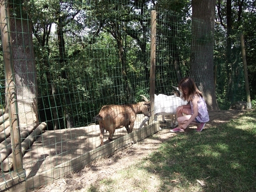 Domaine Saint Laurent Languedoc-Roussillon - Montferrand visuel 8/8 Domaine Saint Laurent Languedoc-Roussillon - Montferrand visuel 8/8