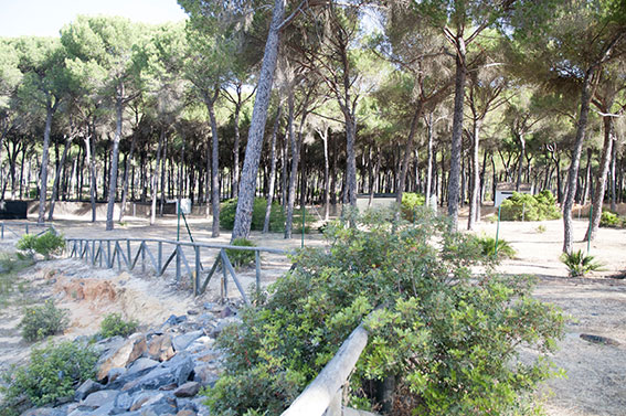 Doñarrayan Park Andalousie - Hinojos visuel 1/4