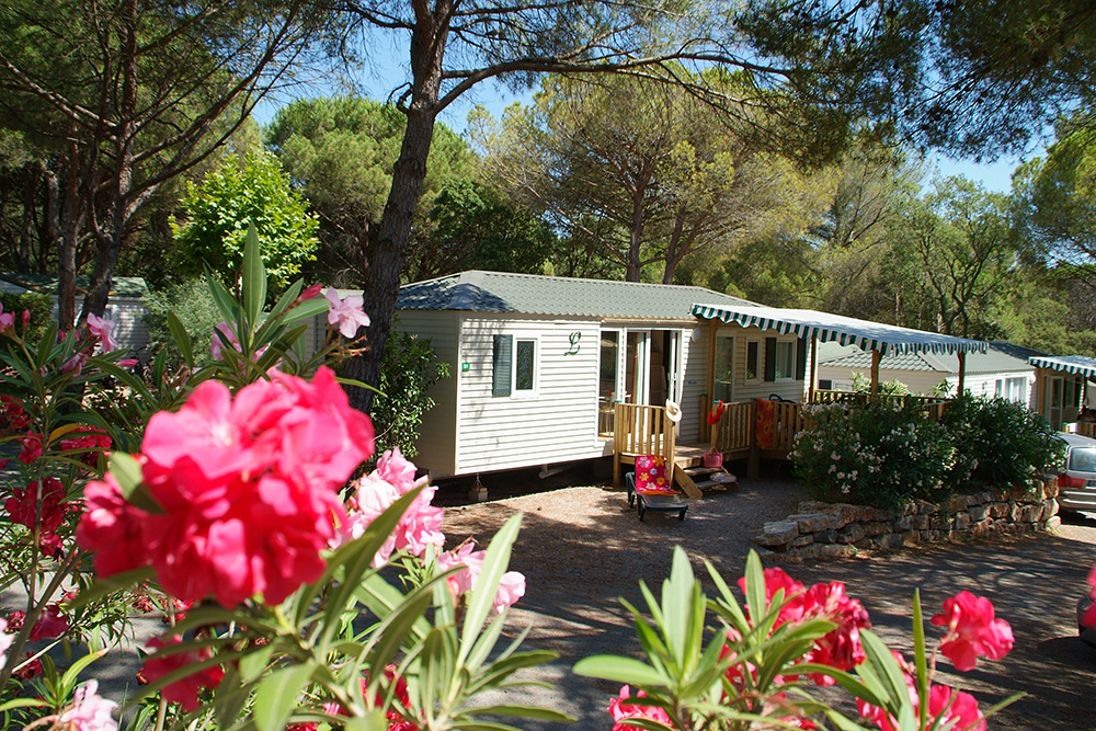 Douce Quiétude Provence-Alpes-Côte d'Azur - Saint-Raphaël visuel 19/24 Douce Quiétude Provence-Alpes-Côte d'Azur - Saint-Raphaël visuel 19/24