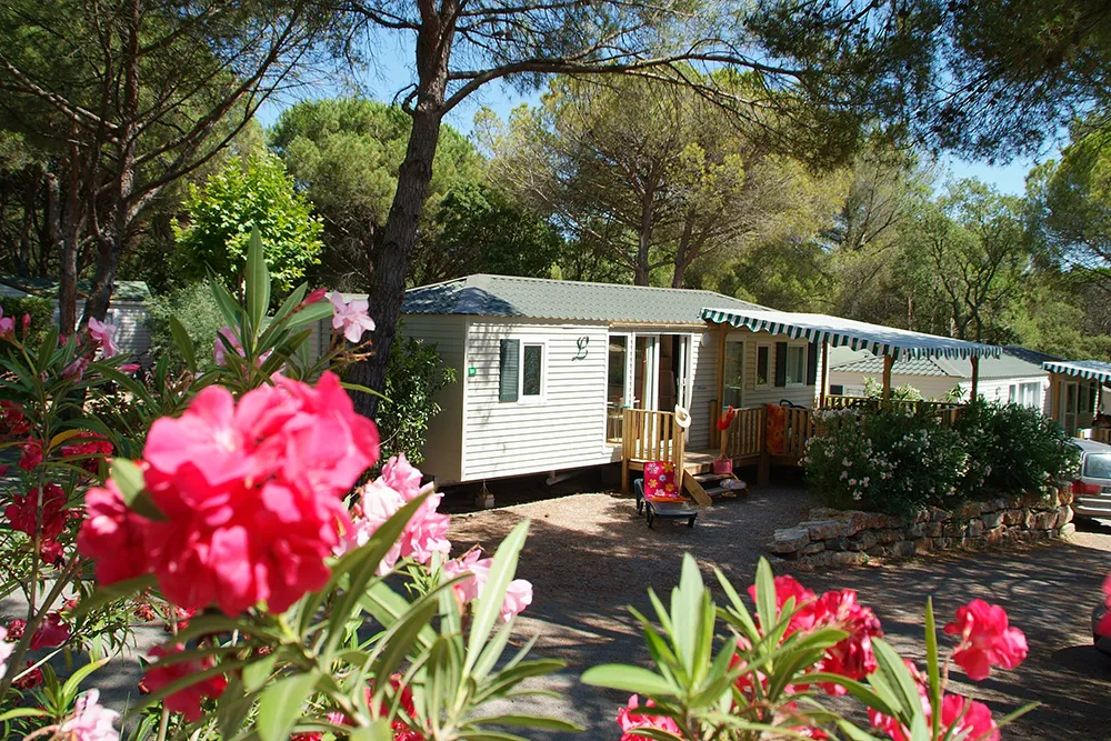 Camping Douce Quiétude Provence-Alpes-Côte d'Azur - Saint-Raphaël visuel 19/24