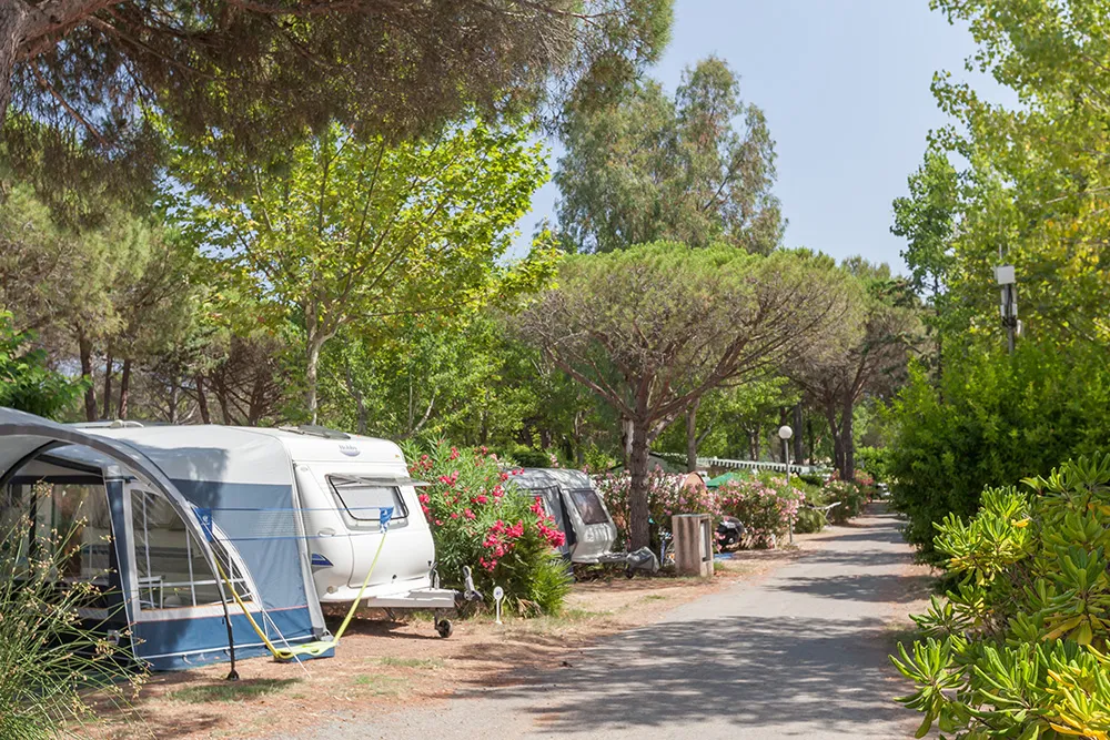 Camping Douce Quiétude Provence-Alpes-Côte d'Azur - Saint-Raphaël visuel 10/24