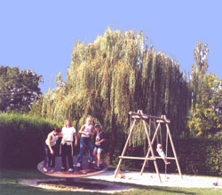 du Chatelet Rhône-Alpes - Sciez visuel 2/5