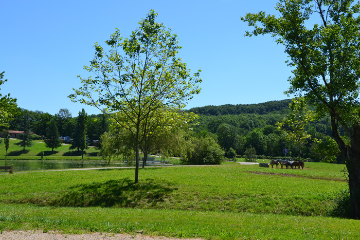 Camping du Lac de Parisot Midi-Pyrénées - Parisot visuel 5/6