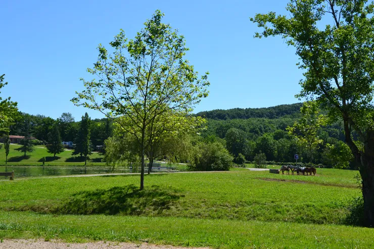 Camping du Lac de Parisot Midi-Pyrénées - Parisot visuel 4/6