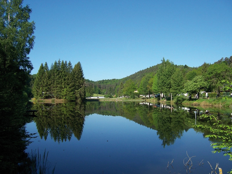 Camping du Muhlenbach Lorraine - Sturzelbronn visuel 4/8