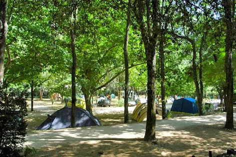 Camping du Pont d'Arc Rhône-Alpes - Vallon-Pont-d'Arc visuel 5/5