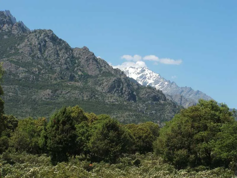 Camping E Canicce Corse - Moltifao visuel 2/12