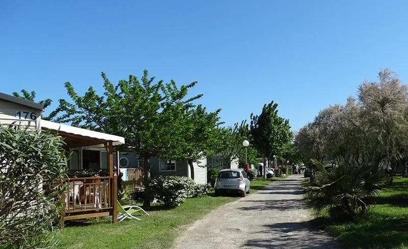 Camping Eden Languedoc-Roussillon - Lattes visuel 11/11