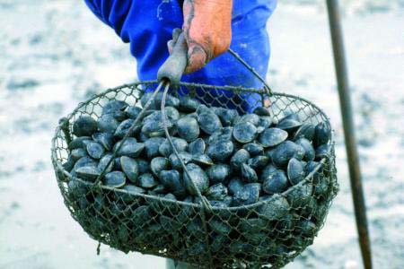 Eléovic Pays de Loire - Pornic visuel 7/8