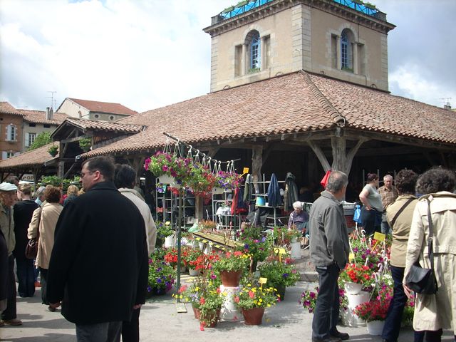 Camping en Salvan Midi-Pyrénées - Vaudreuille visuel 6/8 Camping en Salvan Midi-Pyrénées - Vaudreuille visuel 6/8