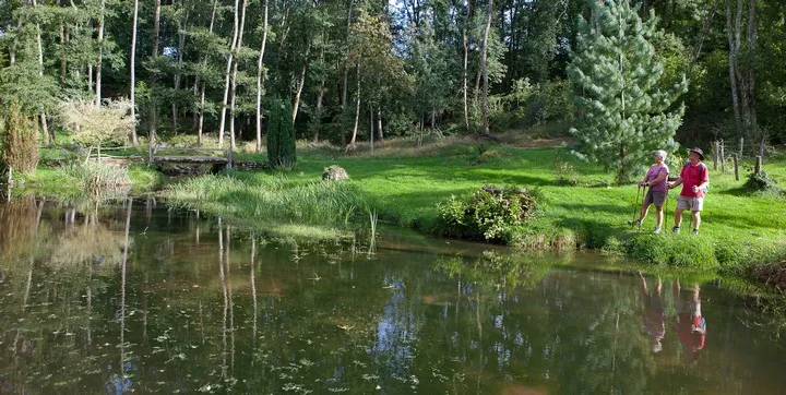 Camping Etang de la Fougeraie Bourgogne - Saint-Léger-de-Fougeret visuel 4/10
