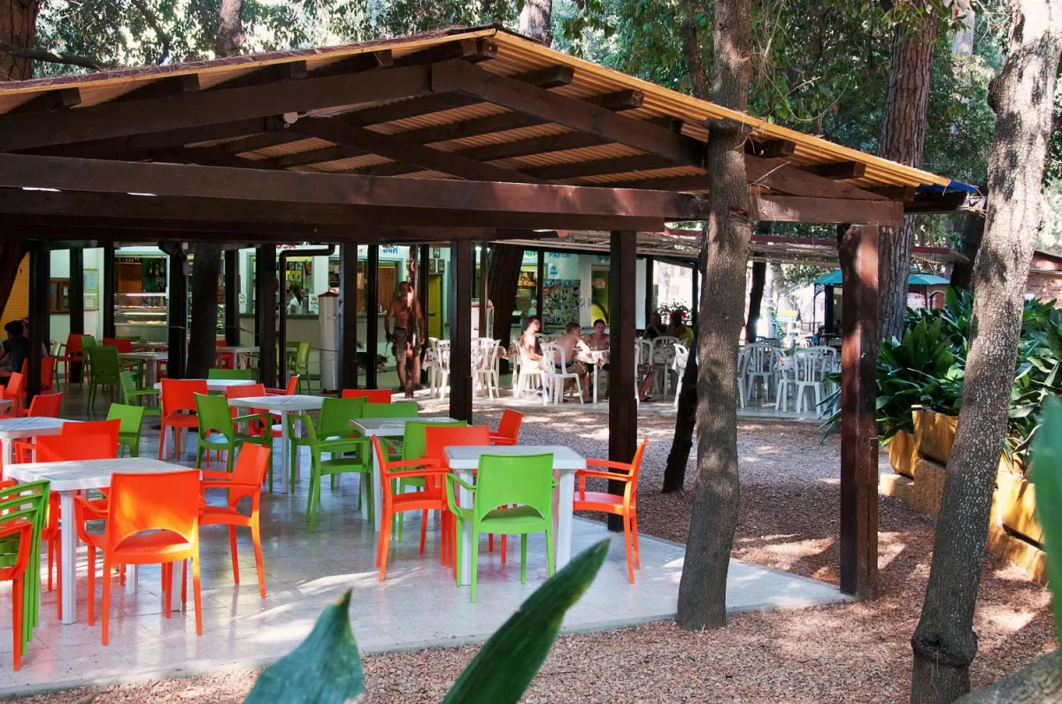 Camping Etruria Toscane - Castagneto Carducci visuel 7/7