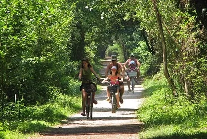 Camping Europa Toscane - Torre del Lago Puccini visuel 5/8