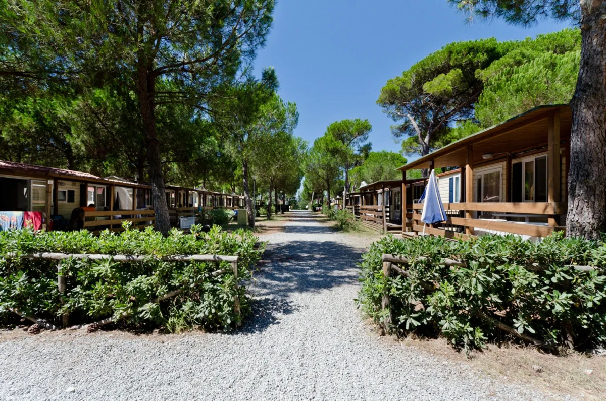 Camping Europing Latium - Tarquinia visuel 6/12