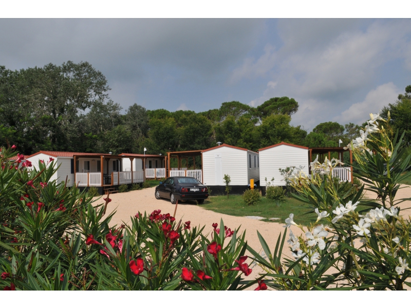 Falconera Vénétie - Caorle visuel 5/10