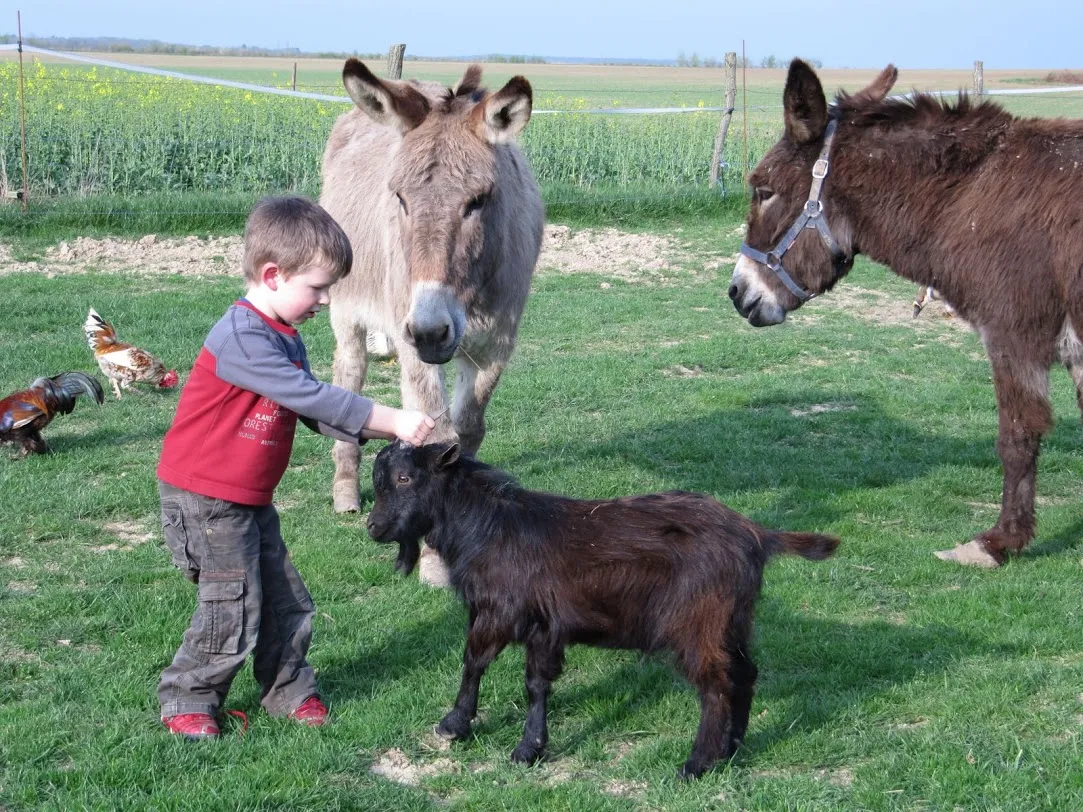Camping Ferme de Prunay Grand Centre - Seillac visuel 10/11