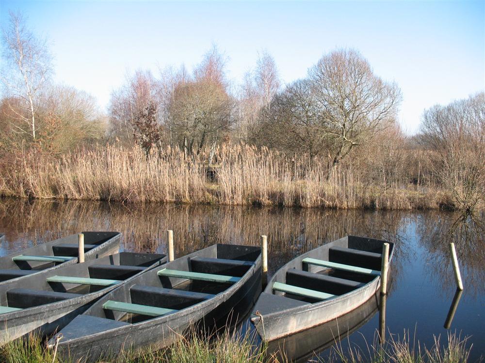 Fleur de Brière Pays de Loire - Saint-Lyphard visuel 9/9