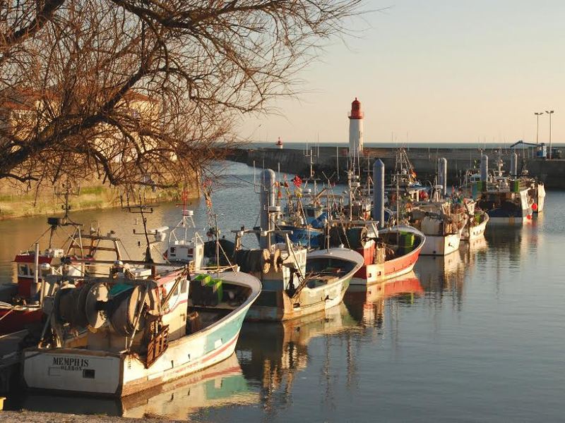 Fleur d'Oléron Poitou-Charentes - Saint-Pierre-d'Oléron visuel 3/4