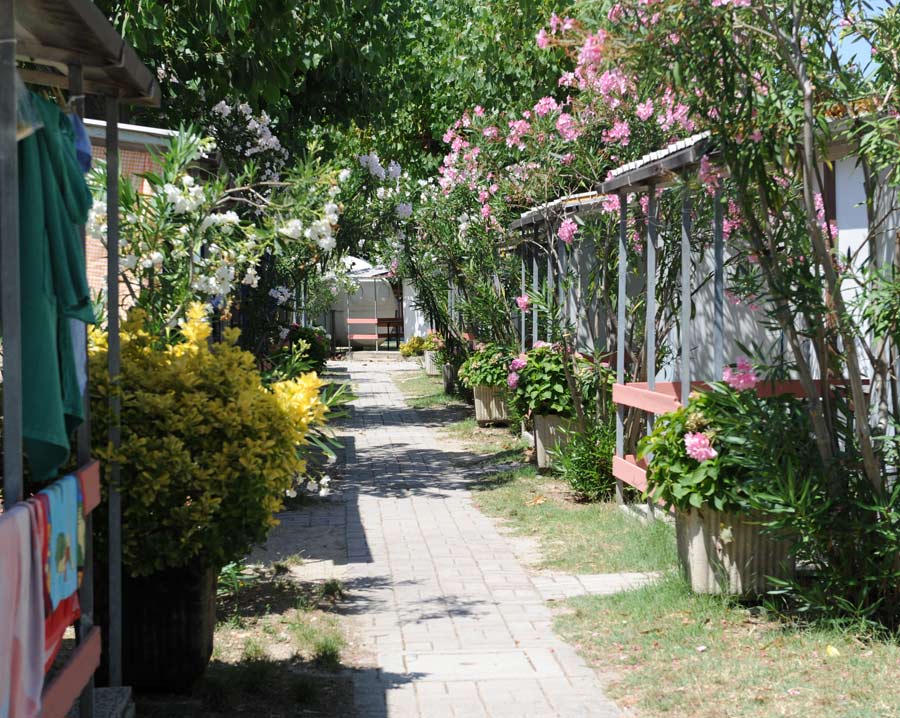 Gemma Marches - Fermo visuel 8/11