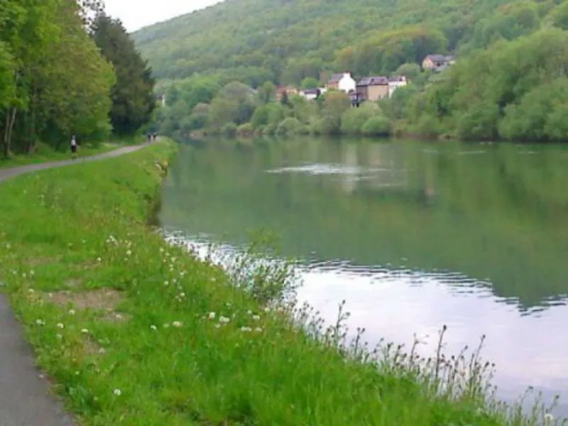 Camping Haulmé Champagne-Ardennes - Haulmé visuel 5/7