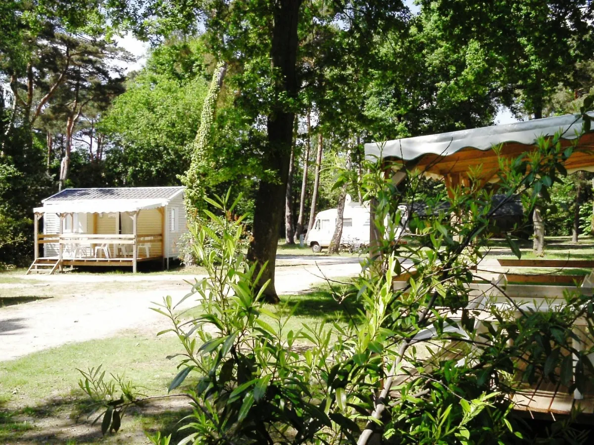 Camping La Forêt d'Azalée Ile de France - Saint-Chéron visuel 4/8