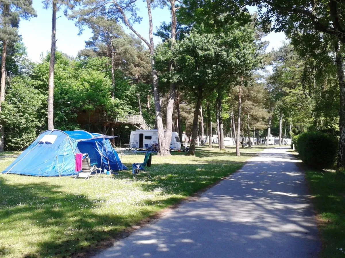 Camping La Forêt d'Azalée Ile de France - Saint-Chéron visuel 2/8