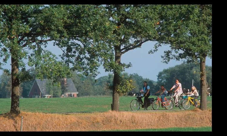Camping het Wieskamp Gueldre - Henxel visuel 2/4