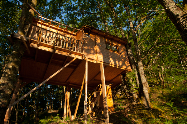 Hêtre sous le Charme Limousin - Saint-Martial-Entraygues visuel 3/10